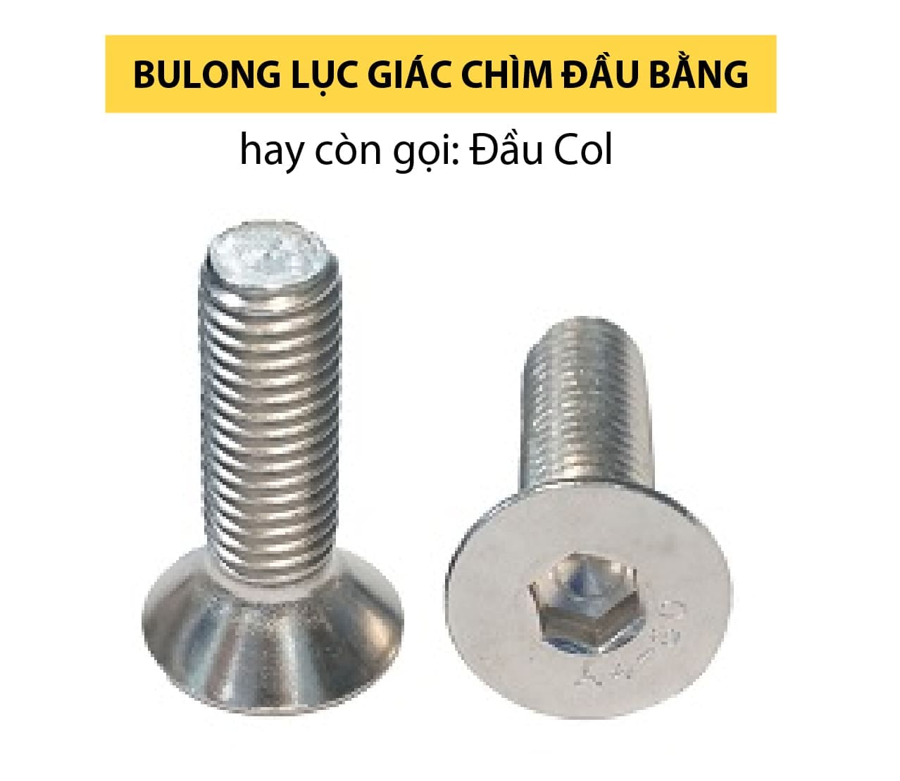 bulong-luc-giac-chim-dau-bang-col-duotech-vn-04 bulong lục giác chìm; bu lông lục giác chìm; bulong lục giác chìm đầu trụ; bu lông lục giác chìm đầu trụ; bulong lục giác chìm đầu bằng; bu lông lục giác chìm đầu bằng; bulong lục giác chìm đầu dù; bu lông lục giác chìm đầu dù; bulong lục giác chìm đầu mỏng; bu lông lục giác chìm đầu mỏng;