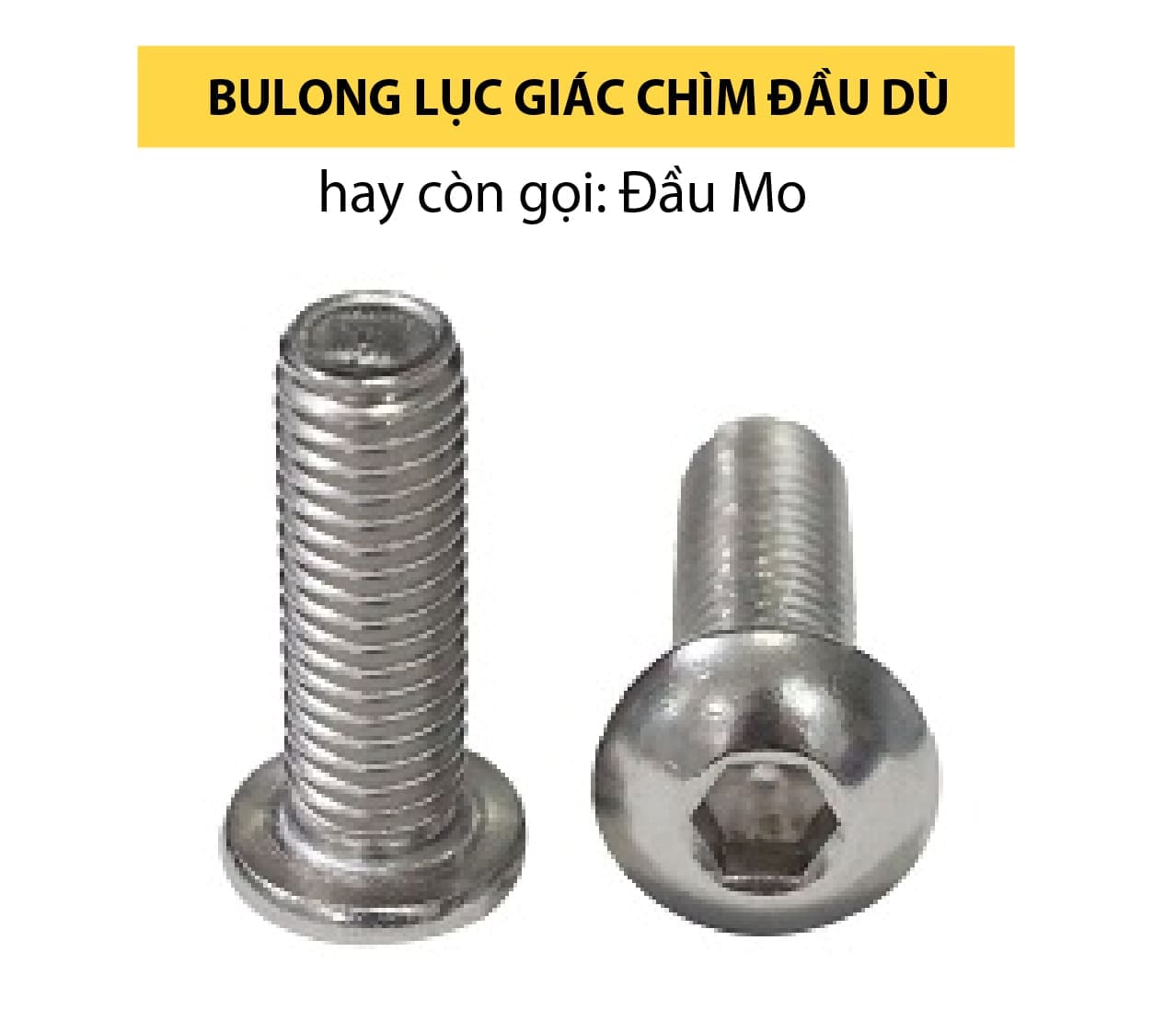 bulong-luc-giac-chim-dau-du-mo-duotech-vn-03 duotech