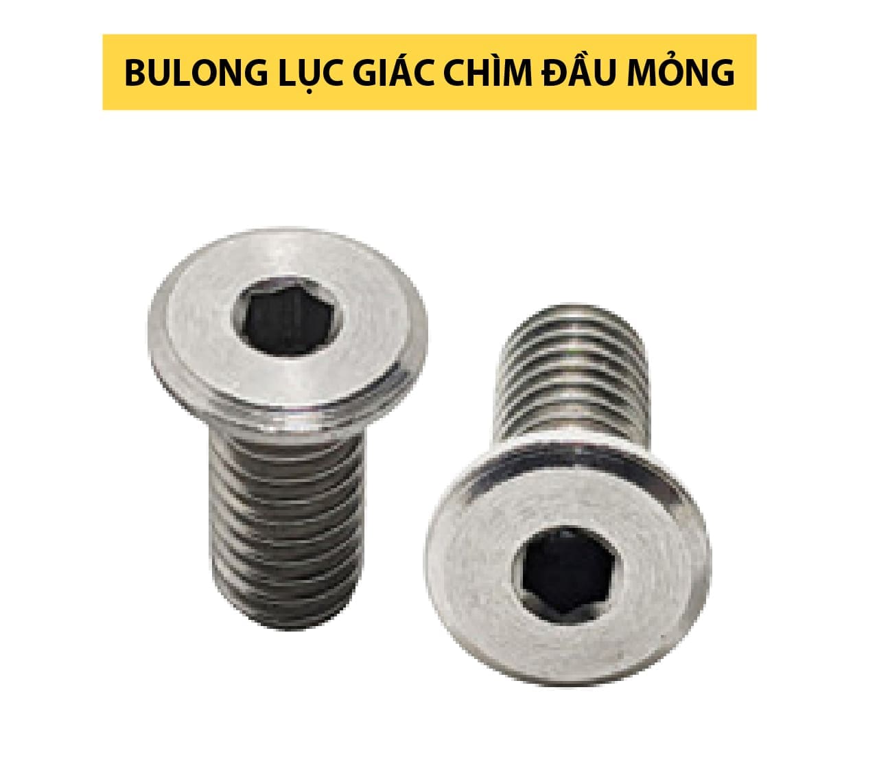 bulong-luc-giac-chim-dau-mong-duotech-vn-05 duotech