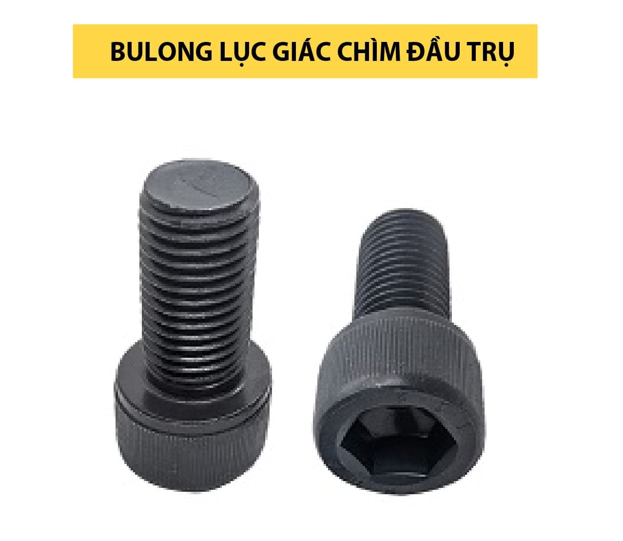 bulong-luc-giac-chim-dau-tru-duotech-vn-02