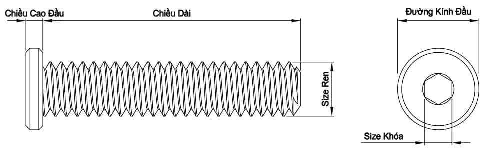 luc-giac-chim-dau-mong-thap-din7984.png